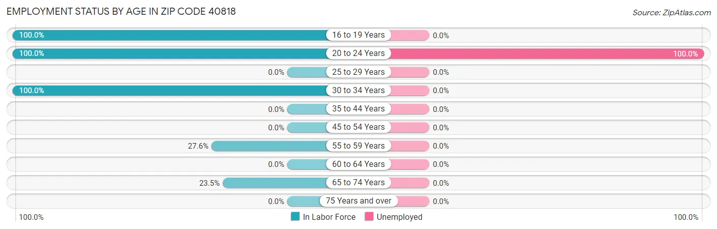 Employment Status by Age in Zip Code 40818