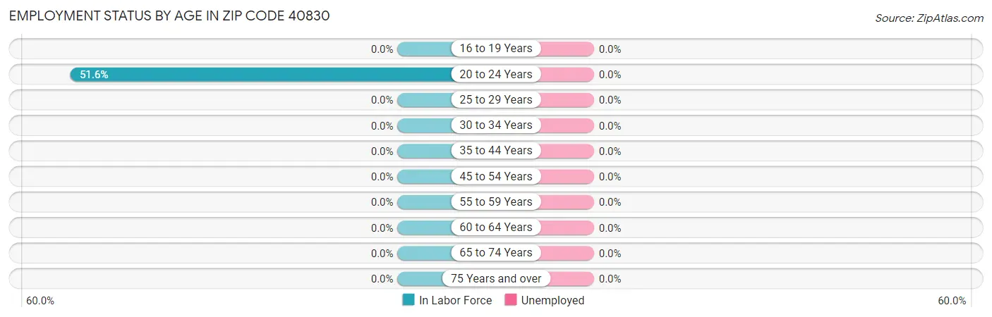 Employment Status by Age in Zip Code 40830