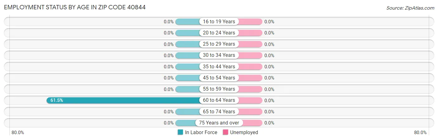 Employment Status by Age in Zip Code 40844