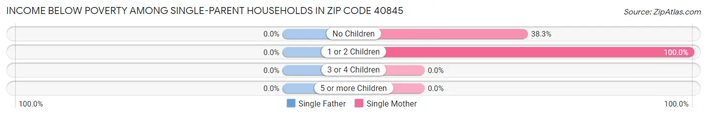 Income Below Poverty Among Single-Parent Households in Zip Code 40845