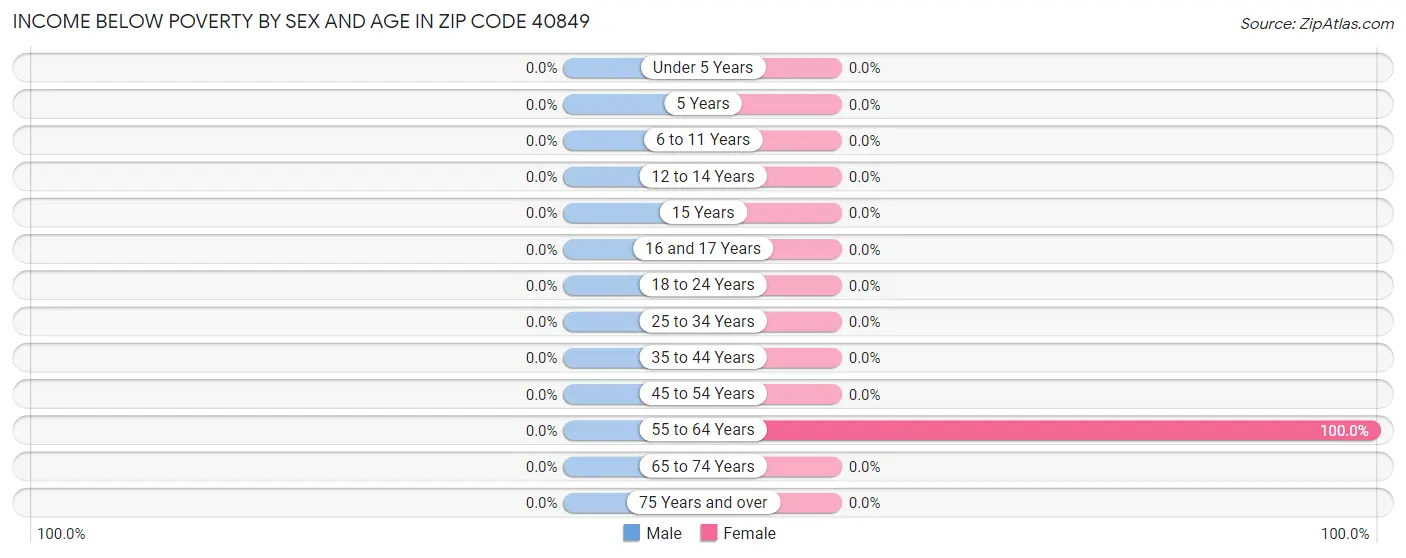 Income Below Poverty by Sex and Age in Zip Code 40849