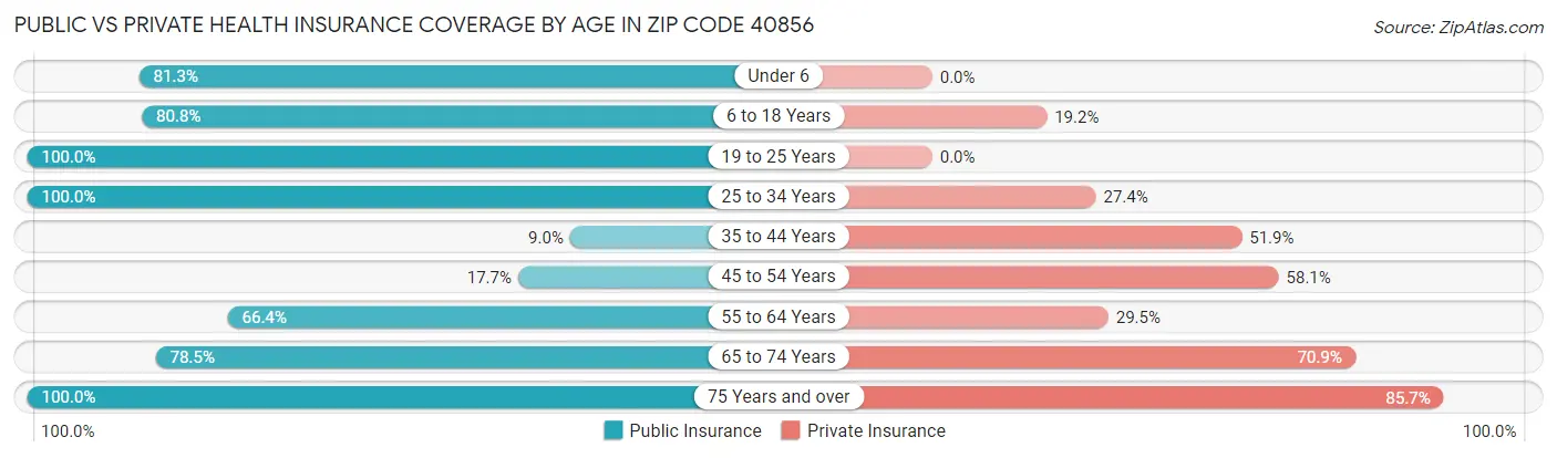Public vs Private Health Insurance Coverage by Age in Zip Code 40856