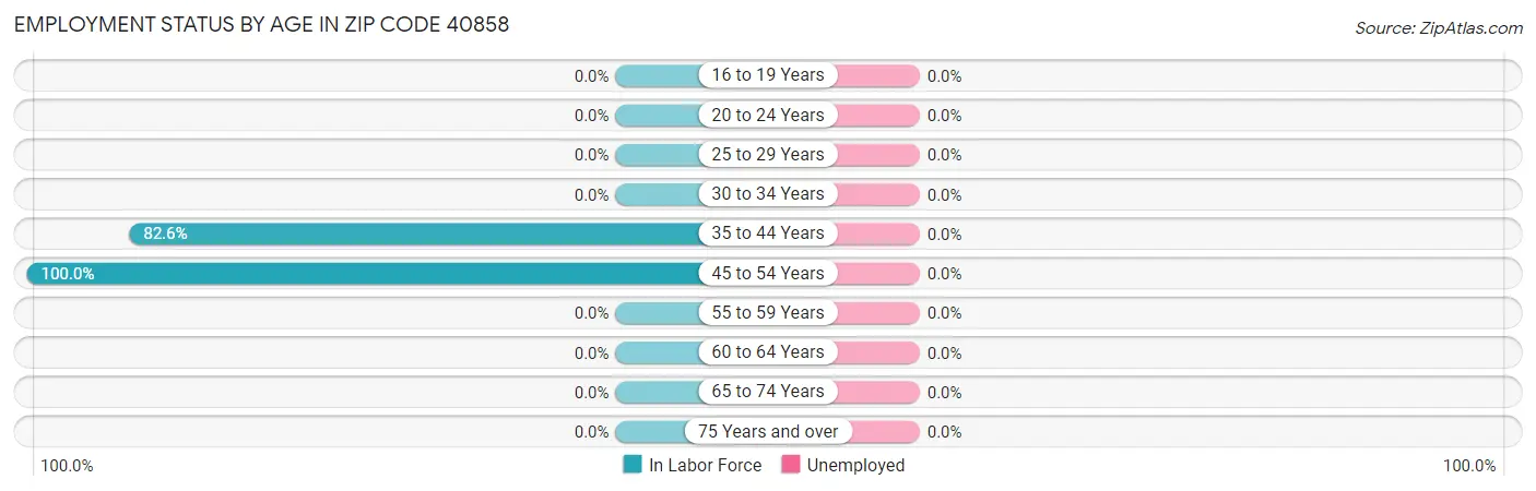Employment Status by Age in Zip Code 40858