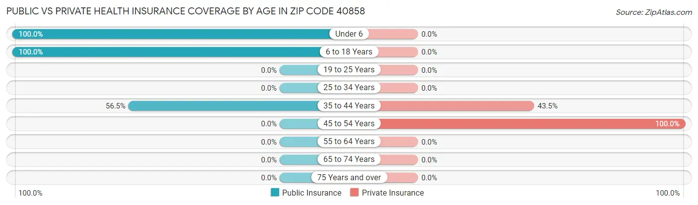 Public vs Private Health Insurance Coverage by Age in Zip Code 40858