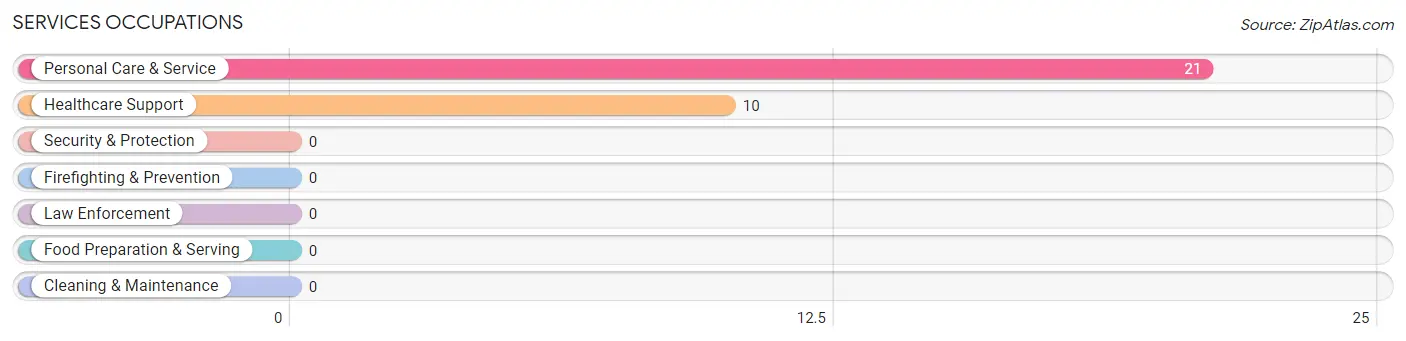 Services Occupations in Zip Code 40862