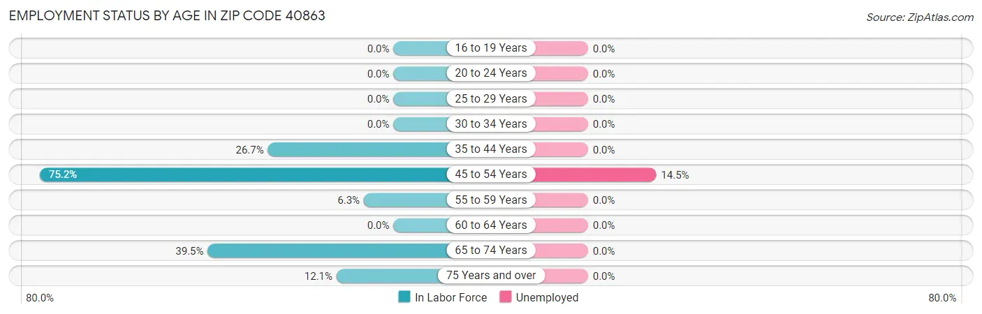 Employment Status by Age in Zip Code 40863
