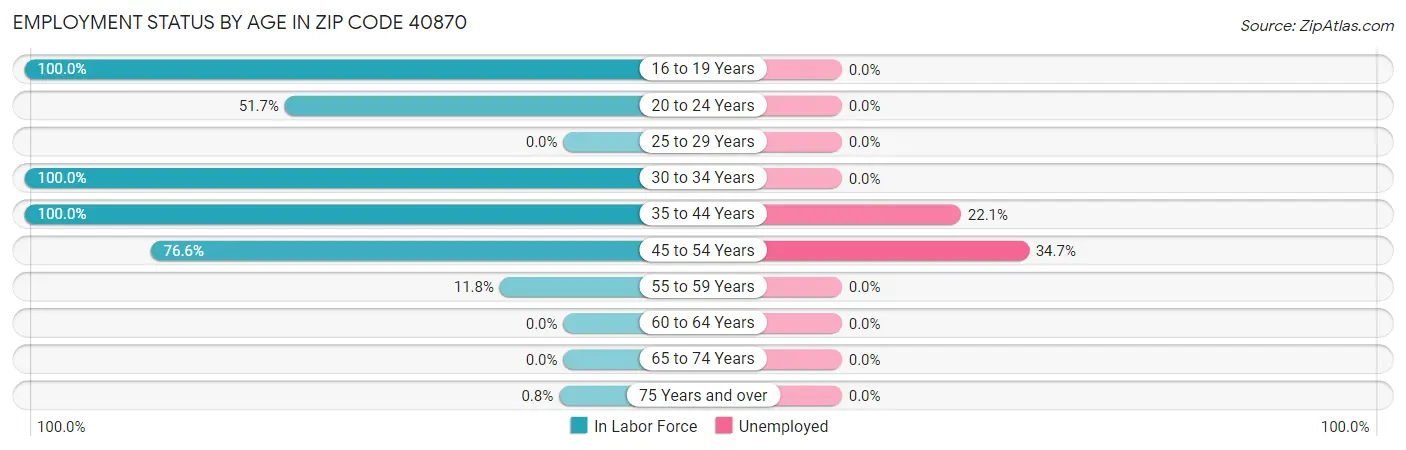Employment Status by Age in Zip Code 40870