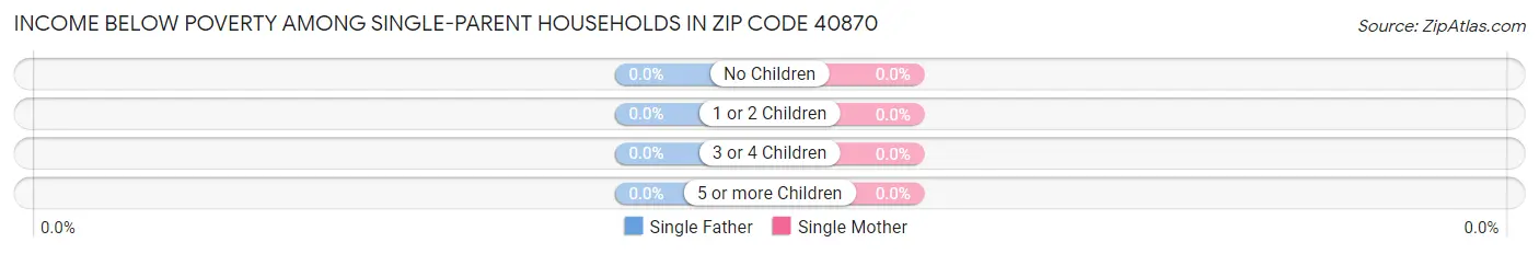 Income Below Poverty Among Single-Parent Households in Zip Code 40870