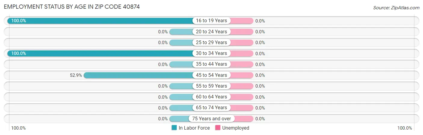 Employment Status by Age in Zip Code 40874