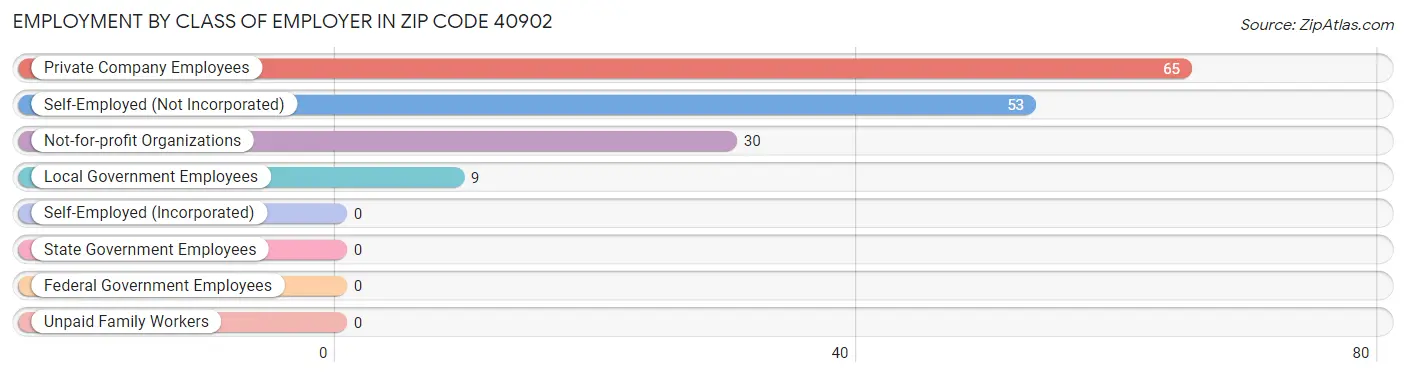 Employment by Class of Employer in Zip Code 40902