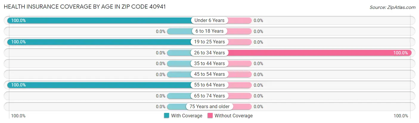 Health Insurance Coverage by Age in Zip Code 40941