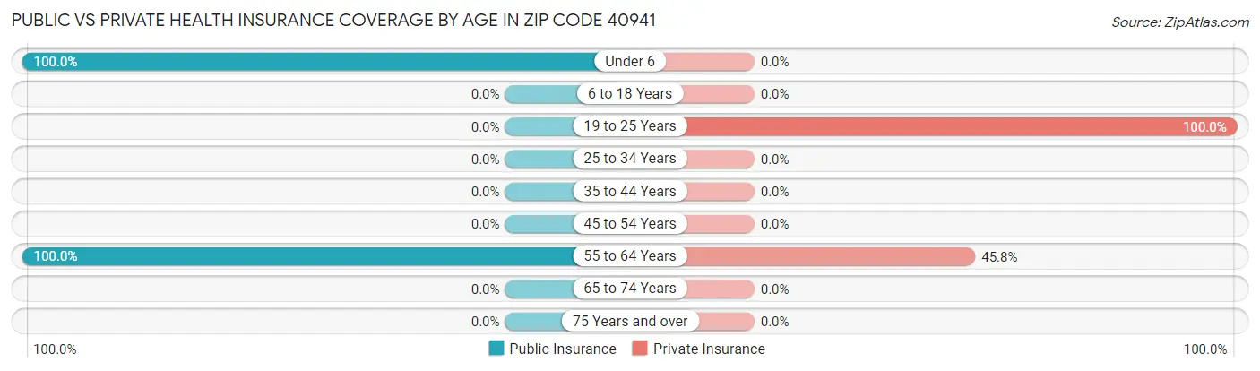 Public vs Private Health Insurance Coverage by Age in Zip Code 40941