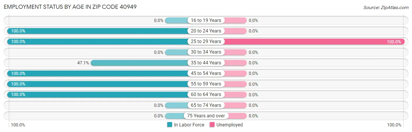 Employment Status by Age in Zip Code 40949
