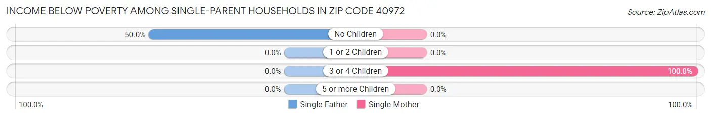 Income Below Poverty Among Single-Parent Households in Zip Code 40972