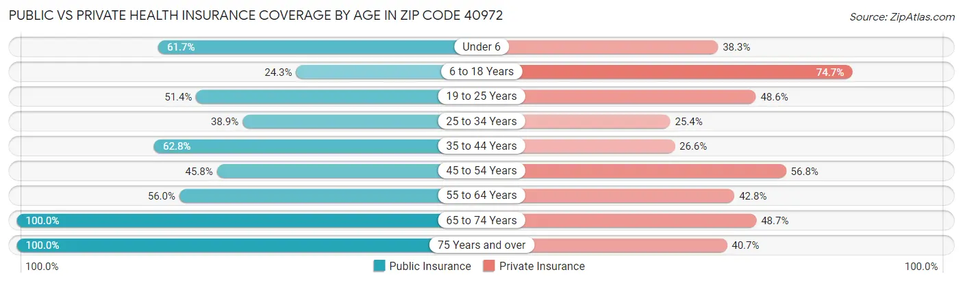 Public vs Private Health Insurance Coverage by Age in Zip Code 40972