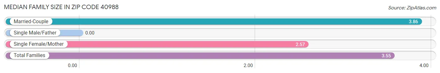 Median Family Size in Zip Code 40988