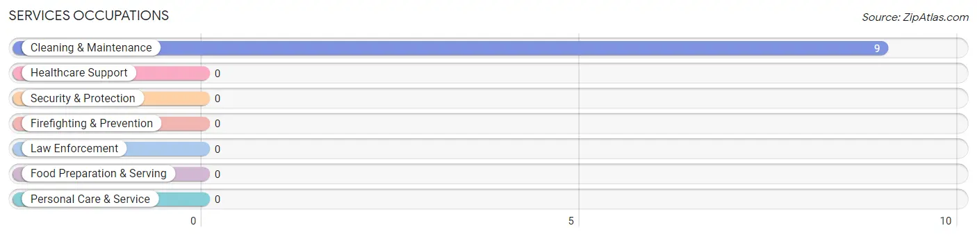 Services Occupations in Zip Code 40988