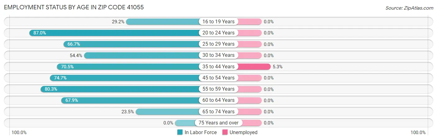 Employment Status by Age in Zip Code 41055