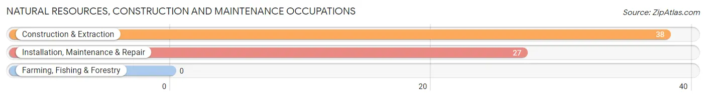 Natural Resources, Construction and Maintenance Occupations in Zip Code 41124