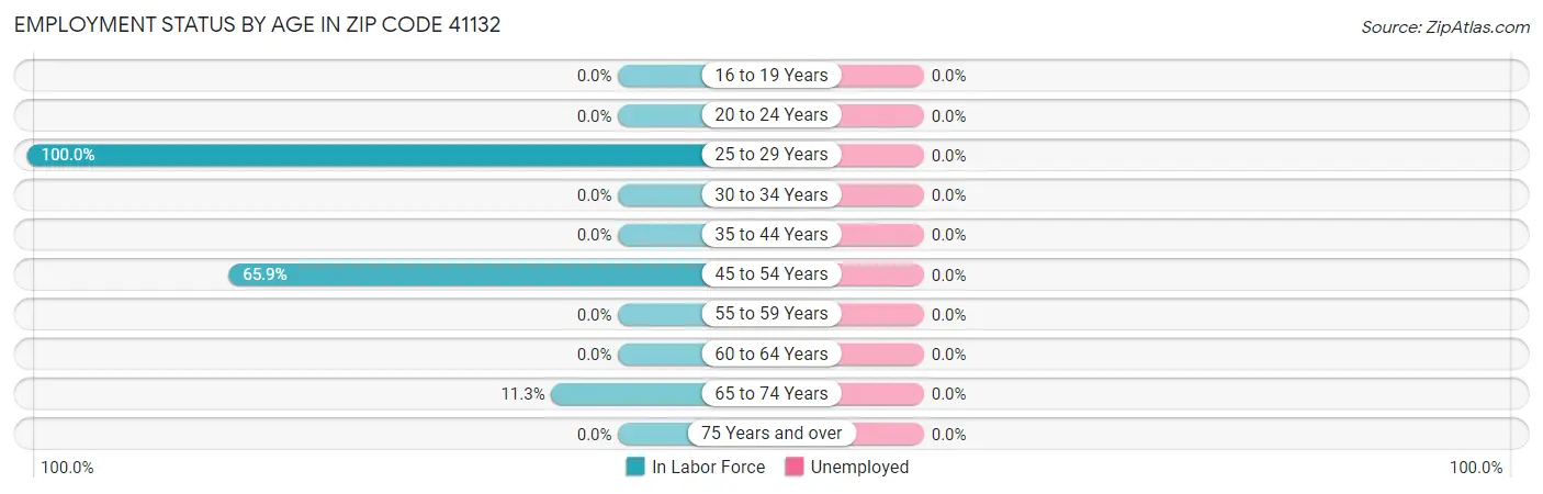 Employment Status by Age in Zip Code 41132