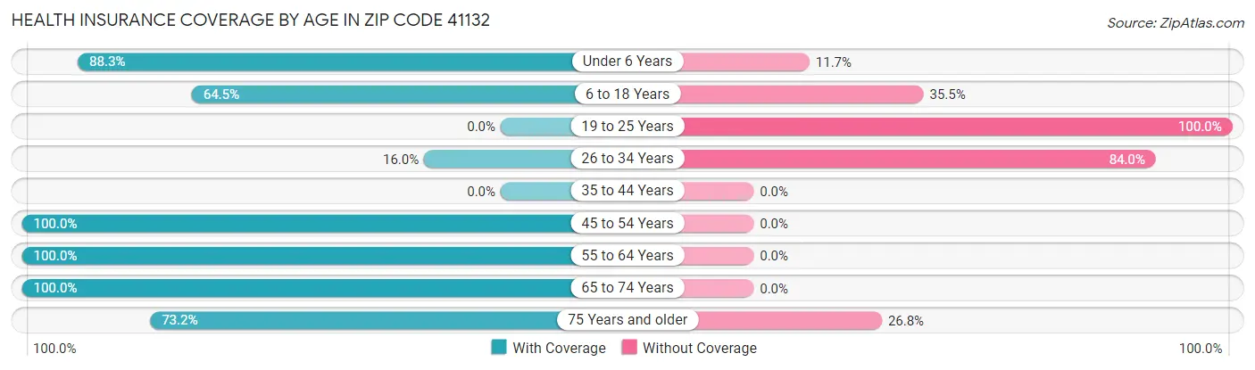 Health Insurance Coverage by Age in Zip Code 41132