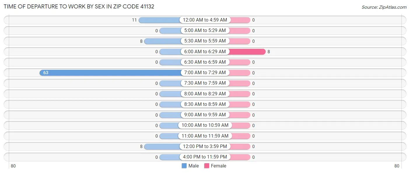Time of Departure to Work by Sex in Zip Code 41132