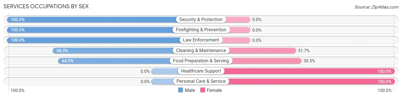 Services Occupations by Sex in Zip Code 41224