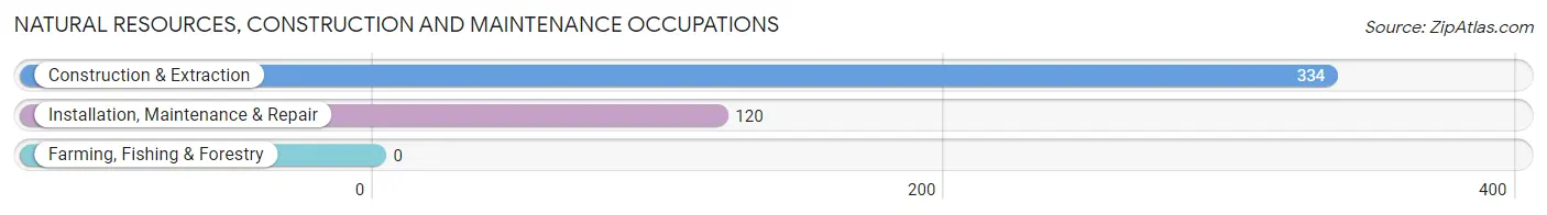 Natural Resources, Construction and Maintenance Occupations in Zip Code 41230