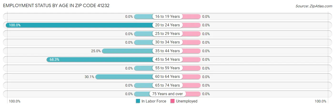 Employment Status by Age in Zip Code 41232