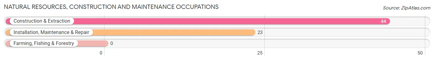 Natural Resources, Construction and Maintenance Occupations in Zip Code 41250