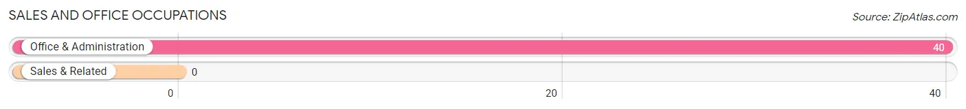Sales and Office Occupations in Zip Code 41255