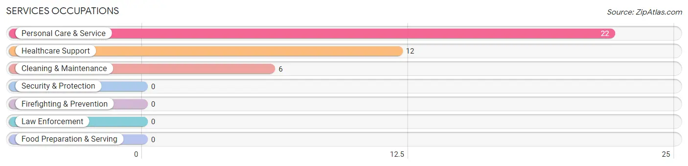 Services Occupations in Zip Code 41255