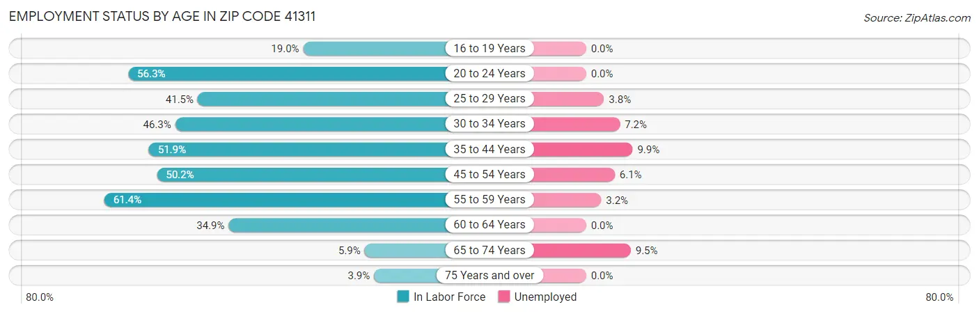 Employment Status by Age in Zip Code 41311