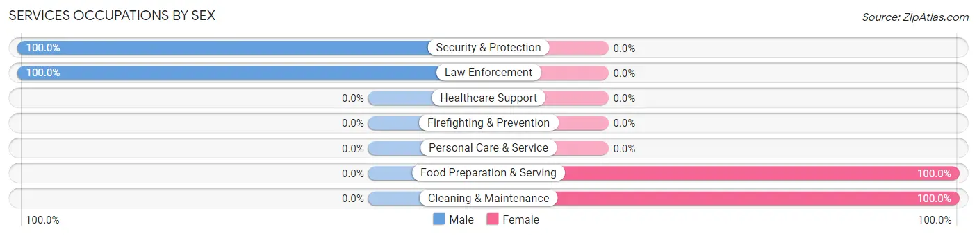 Services Occupations by Sex in Zip Code 41385