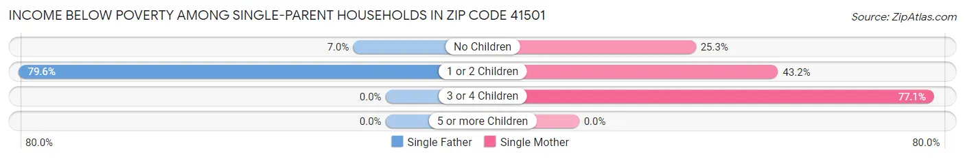 Income Below Poverty Among Single-Parent Households in Zip Code 41501