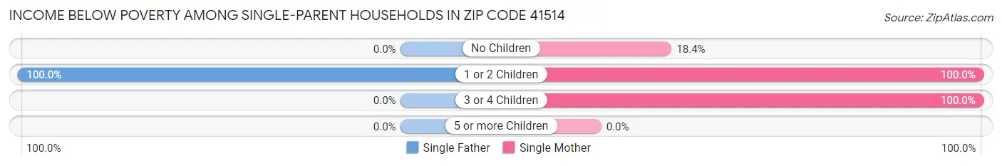 Income Below Poverty Among Single-Parent Households in Zip Code 41514