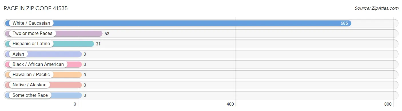 Race in Zip Code 41535