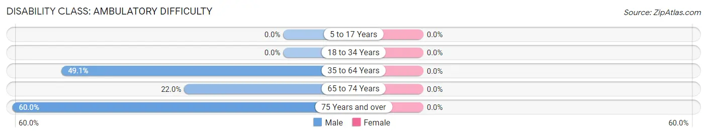 Disability in Zip Code 41538: <span>Ambulatory Difficulty</span>