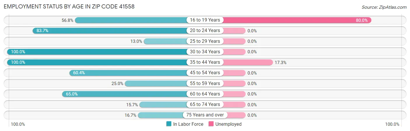 Employment Status by Age in Zip Code 41558
