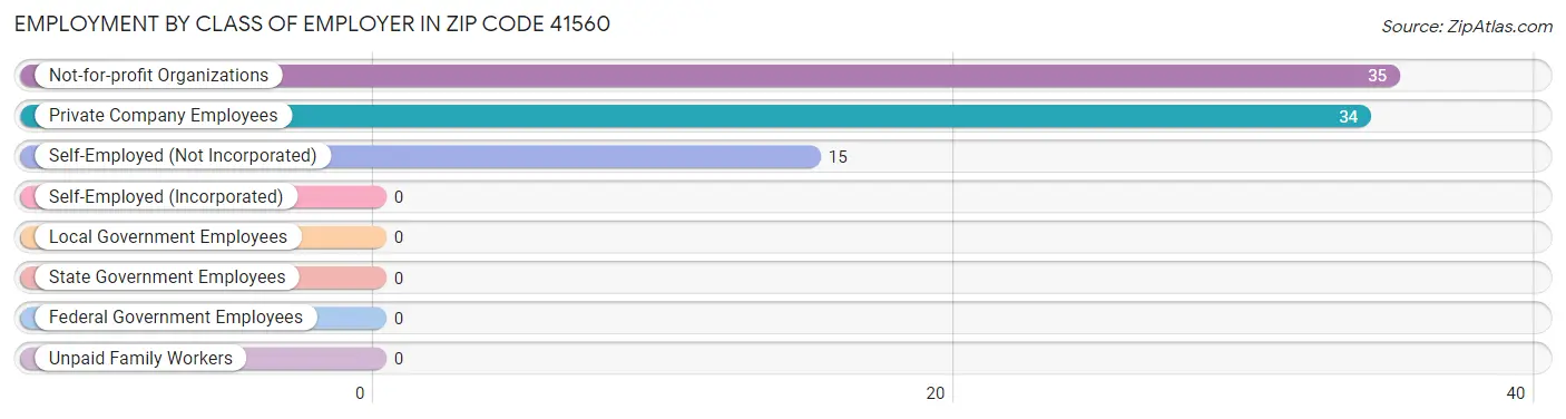 Employment by Class of Employer in Zip Code 41560