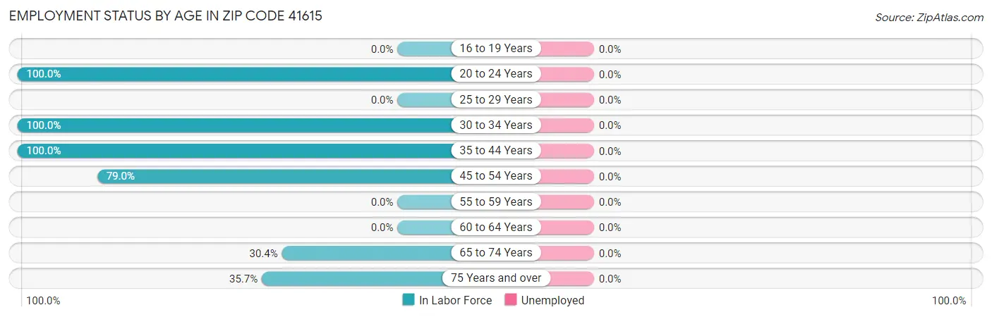 Employment Status by Age in Zip Code 41615