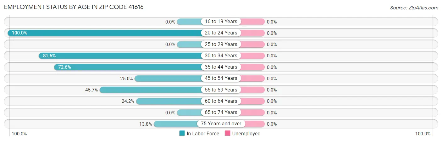 Employment Status by Age in Zip Code 41616