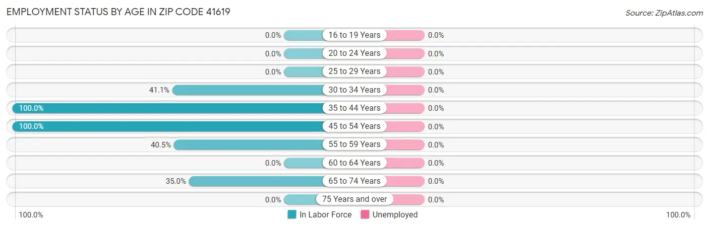 Employment Status by Age in Zip Code 41619
