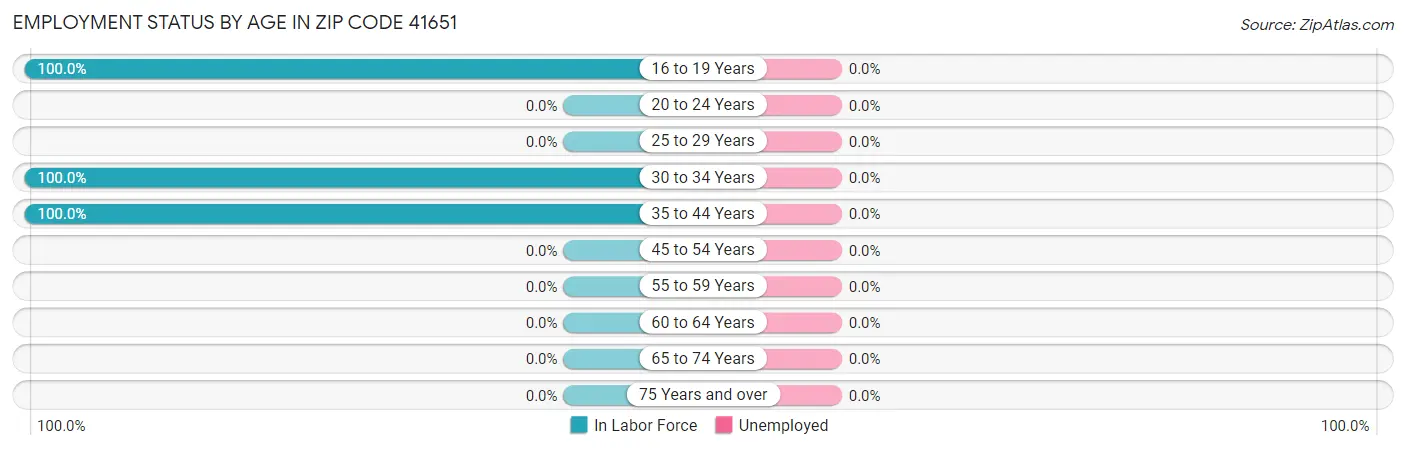Employment Status by Age in Zip Code 41651