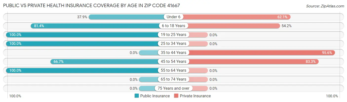 Public vs Private Health Insurance Coverage by Age in Zip Code 41667