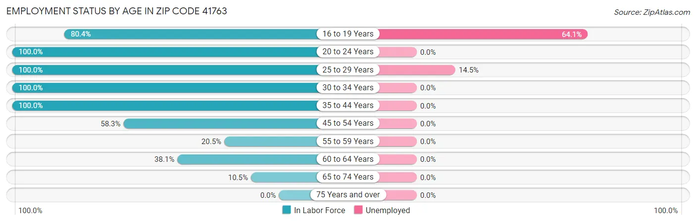 Employment Status by Age in Zip Code 41763