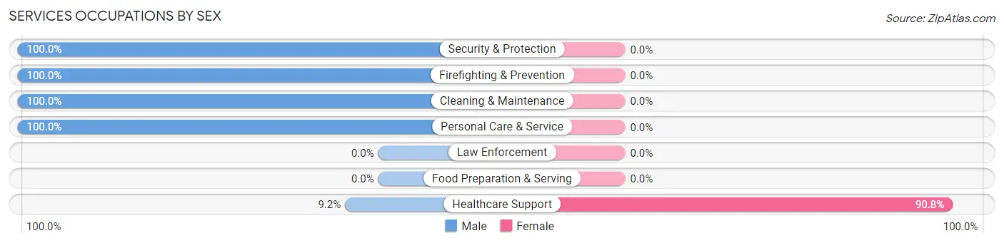 Services Occupations by Sex in Zip Code 41763