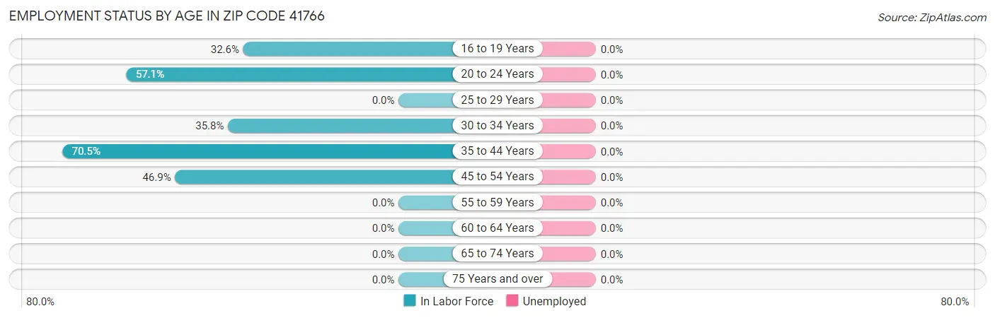 Employment Status by Age in Zip Code 41766