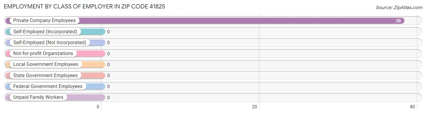 Employment by Class of Employer in Zip Code 41825