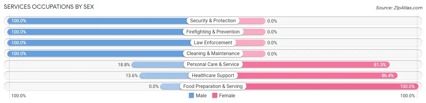 Services Occupations by Sex in Zip Code 41840